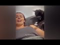 🤣 Try Not To Laugh Dogs And Cats 😹 Best Funniest Catss Video 2024 😹