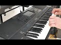 Chinese Blues - A Fun Song On The Yamaha PSR-SX700 Keyboard