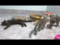 I would die laughing for these FUNNIEST Cats 😝 Funniest Cat Reaction 😺