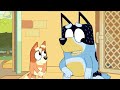 🔴LIVE: Bluey and Bingo's Animal Moments | 1 HOUR+ | Bluey