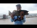 How to Target Grouper at Skyway Fishing Pier Step by Step