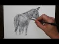 How to Draw a Donkey with a Biro Pen