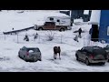 A man calls a moose to him, and then I witness something awesome.