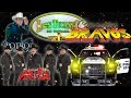 Corridos Bravos 💥Los Tucanes De Tijuana 🆚 El Potro De Sinaloa 💥💥💥