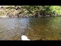 Grayling fishing above the Cottage Pool on the Welsh Dee