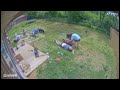 A fun lil vid of my grandfather falling. *this is my video, I edited it, my cousin posted a dif one*