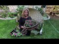 Planting A Creative Way To Keep Our German Shepherd Out Of The Flowerbeds ~ birdhouse garden