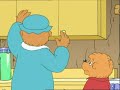The Berenstain Bears: Go To The Doctor / Don't Pollute (Anymore) - Ep. 23