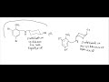 more stable conformation of ambroxol