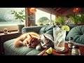 Healing Piano Jazz Work BGM Cafe Healing Relaxing Bossanova chill【Relaxing Cat Chord】