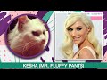 CELEBRITY PETS ★ How many do you know? ★ Famous Pets