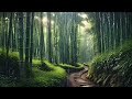 Relaxing Rain Sounds in a Quiet Bamboo Forest for Sleeping, Stress Relief and Restful Sleep