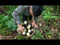 Harvesting wild bamboo shoots. taking care of his wife who was stung by a bee