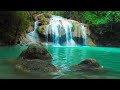 Enjoy Peaceful Piano Music With Falls And Birds Singing | Refresh Your Mind And Sleep Quickly