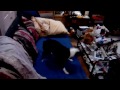 Our Boston Terrier Sophie vs The Vacuum