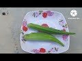Ideas | Growing okra at home | Tips for growing okra in plastic bottles