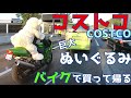 【コストコ巨大ぬいぐるみ】ツーリング中にバイクで買って帰るBuy a bear doll at Costco　Take it home on a motorcycle