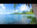 French Polynesia: 3 Hours of Tropical Island Ambience For Relaxation