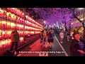 6 Day Solo Japan Sakura Trip! Tokyo - Kyoto - Osaka | Cherry Blossom, Shinkansen, Food