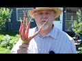 6 Reasons Why Gardening is the Ultimate Therapy! || Black Gumbo