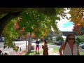 Australia Walking Tour in Autumn - Blackheath | 4K HDR