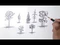 How to Draw different types Trees by pencil