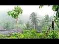 Super heavy rain and strong winds in a mountain village-sleep instantly with the sound of rain