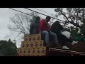 Mardi Gras 2022 #2 Budweiser Clydesdales