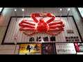 Giant Crab In Tokyo