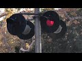 (4K views!!!) Old railroad crossing on the Irvine Park Railroad!!