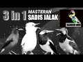 3 in 1 MASTERAN SADIS JALAK