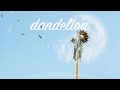 LiQWYD - Dandelion