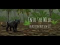 Into the Wild- Wild panther sim OST