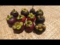 MANGOSTEEN | മാംഗോസ്റ്റിൻ | TROPICAL FRUITS | KERALA | Go TROPICAL