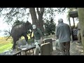 Zimbabwe Bull Elephant Crashes Into Tourists at Mana Pools