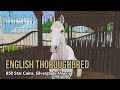 10 Horse Breeds you need in Star Stable!
