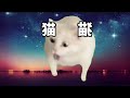 【猫ミーム】wind from the far cat