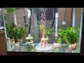 Aquarium Glass Plant Pots .