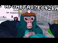 Scary Monkey horror with mods!!!