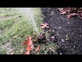 Sprinkler season startup 2024