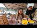 PANEN ANGGUR 🍇 DAN BUAH² SEGAR DI KEBUN LANGSUNG ||YUEN LONG #vlog