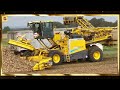 The Most Modern Agriculture Machines That Are At Another Level, How To Harvest Pineapples In Farm ▶2