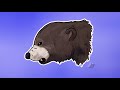 Grizzly [SpeedPaint]