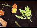 Realistic marigold paper flower/ paper flower