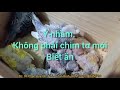 Chim yến phụng Sinh Sản Ăn những gì ?Làm sao để chim Sinh Sản được nhiều lứa