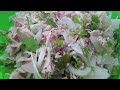 🍴 🥗 Worschdsalat à la Pfälzer Monsieur C...🎧🥨