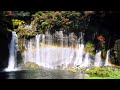 The quiet sound of the lake and waterfall 1 hour The sound of nature and birds