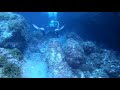 Génova's diving team!Cova des cavall con octopus Sóller!!!16/8/20