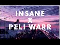 Insane X Peli Waar - (Slowed+Reverb) #lofi