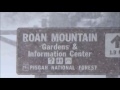 Winter's Wrath atop Roan Mountain